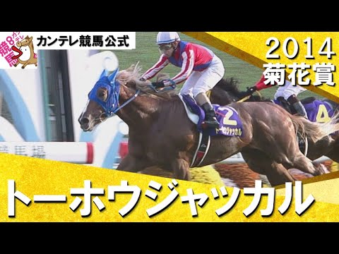 【震災の日に生まれた”奇跡の馬”】2014年 菊花賞(ＧⅠ) トーホウジャッカル　実況：吉原功兼【カンテレ公式】