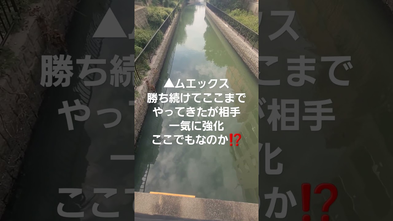 マイルグランプリ予想ショート動画🔥