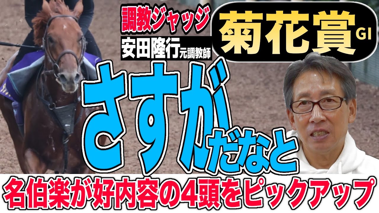 【菊花賞2024】安田隆行元調教師が調教ジャッジ　「動き」「時計」「調教過程」を採点しピックアップした4頭を発表！《東スポ競馬ニュース》