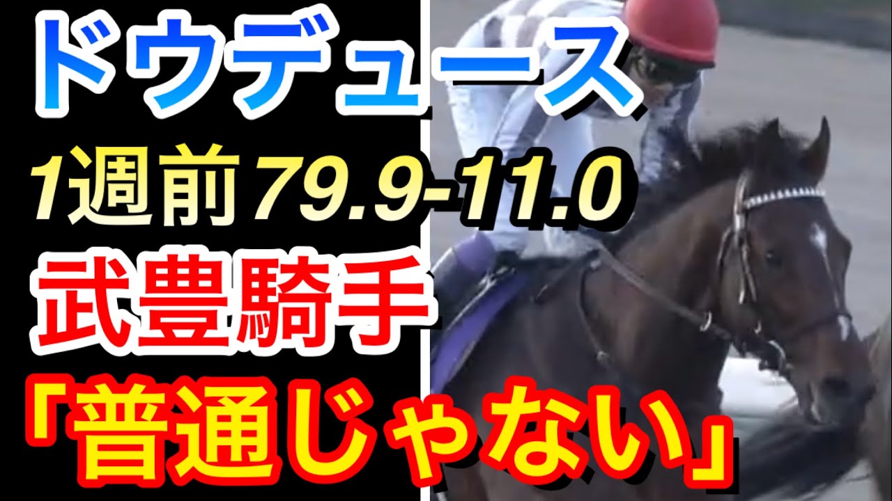 【天皇賞秋2024】ドウデュースが1週前追い切りで超抜タイムを出し武豊騎手が「普通じゃないです」と発言！ファンは何を思うのか！？【競馬の反応集】