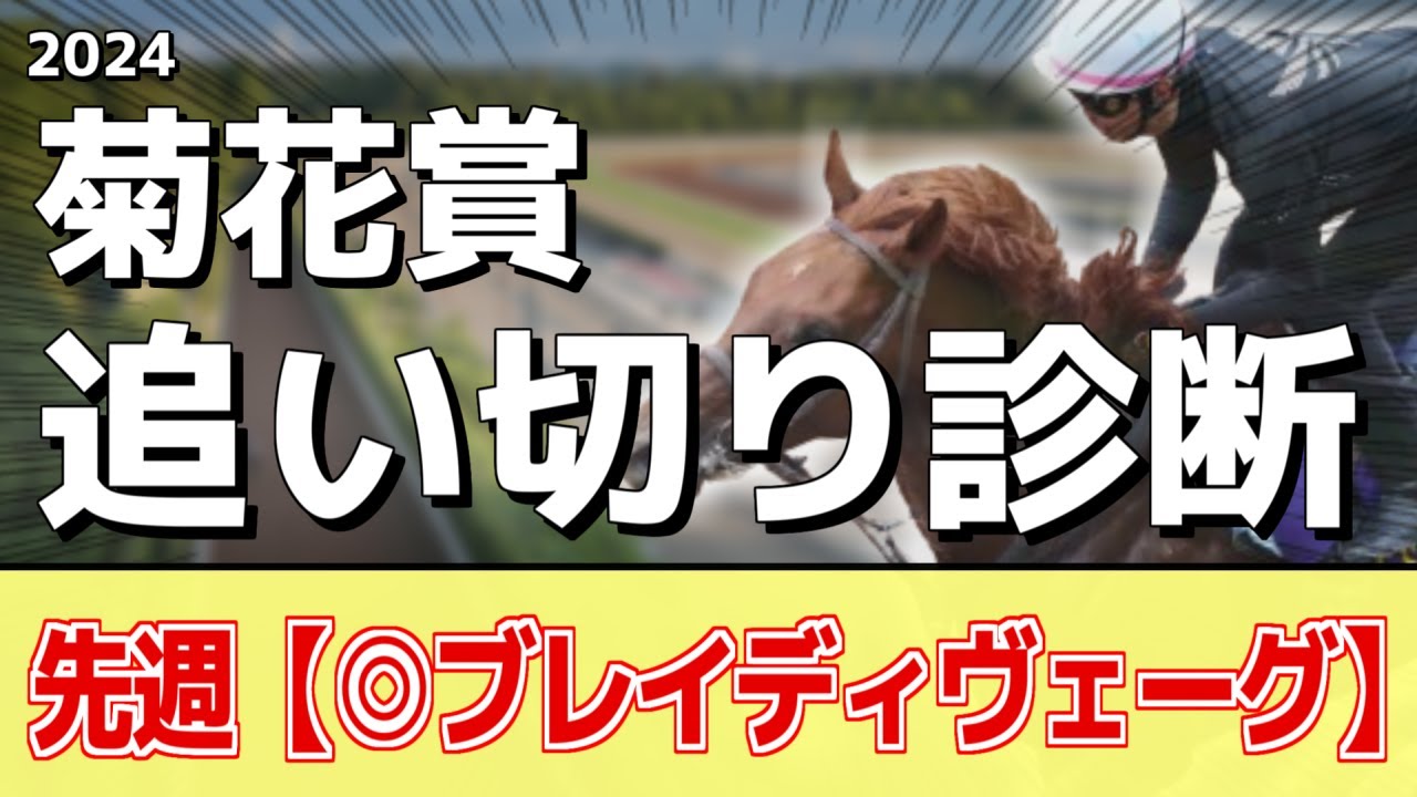 追い切り徹底解説！【菊花賞2024】アーバンシック、ダノンデサイルなどの状態はどうか？調教S評価は2頭！