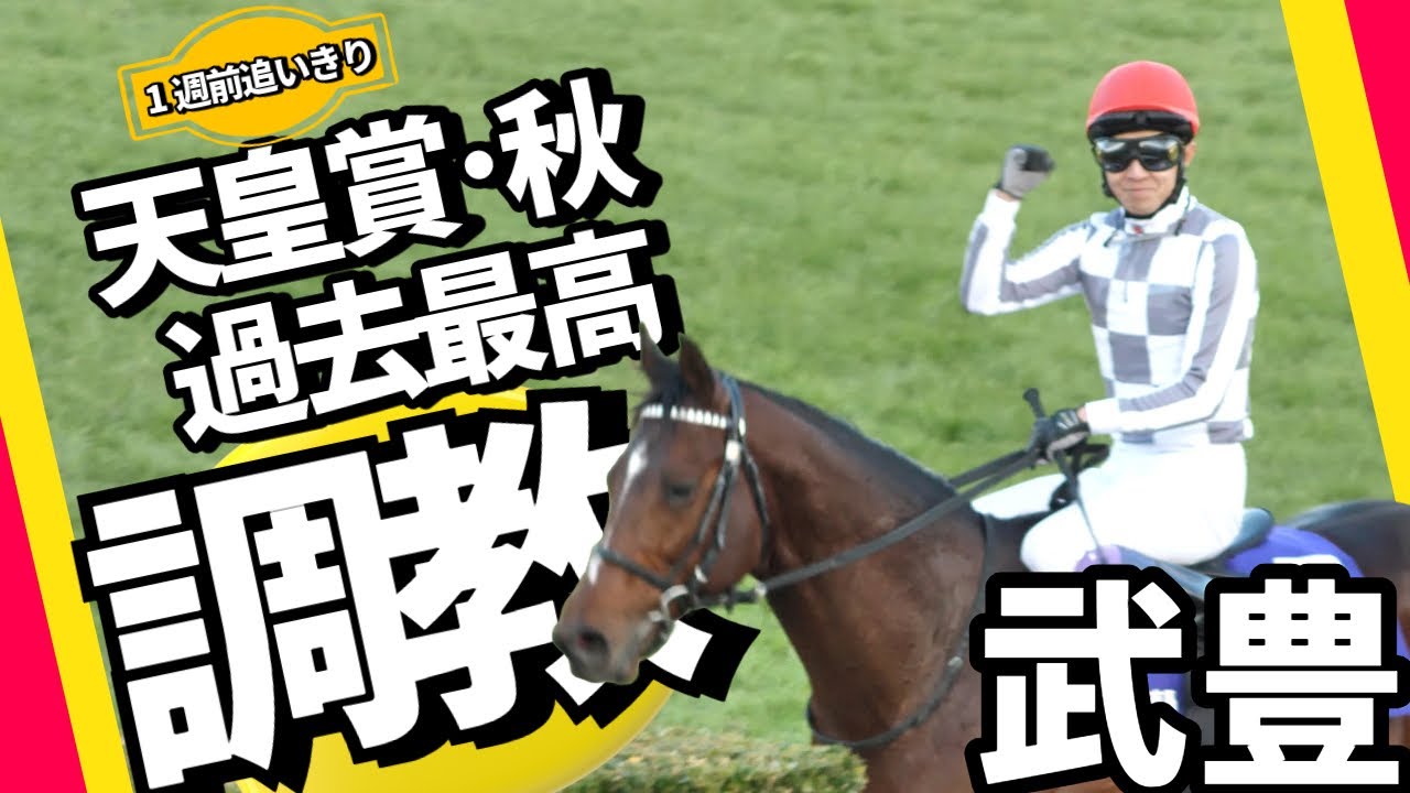 【武豊】ドウデュース 過去最高の出来！？天皇賞・秋 2024 1週前追い切りに武豊騎手騎乗！