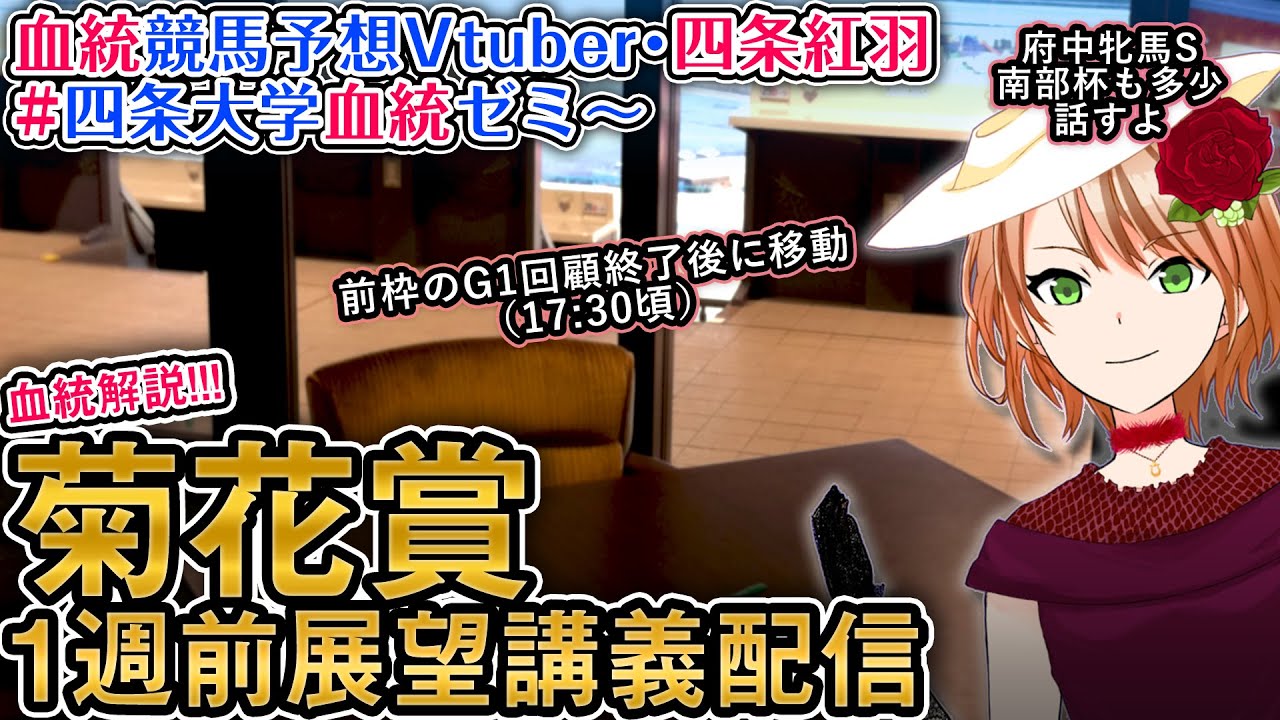 菊花賞 G1 一週前展望配信  四条大学血統ゼミ【血統競馬予想Vtuber】