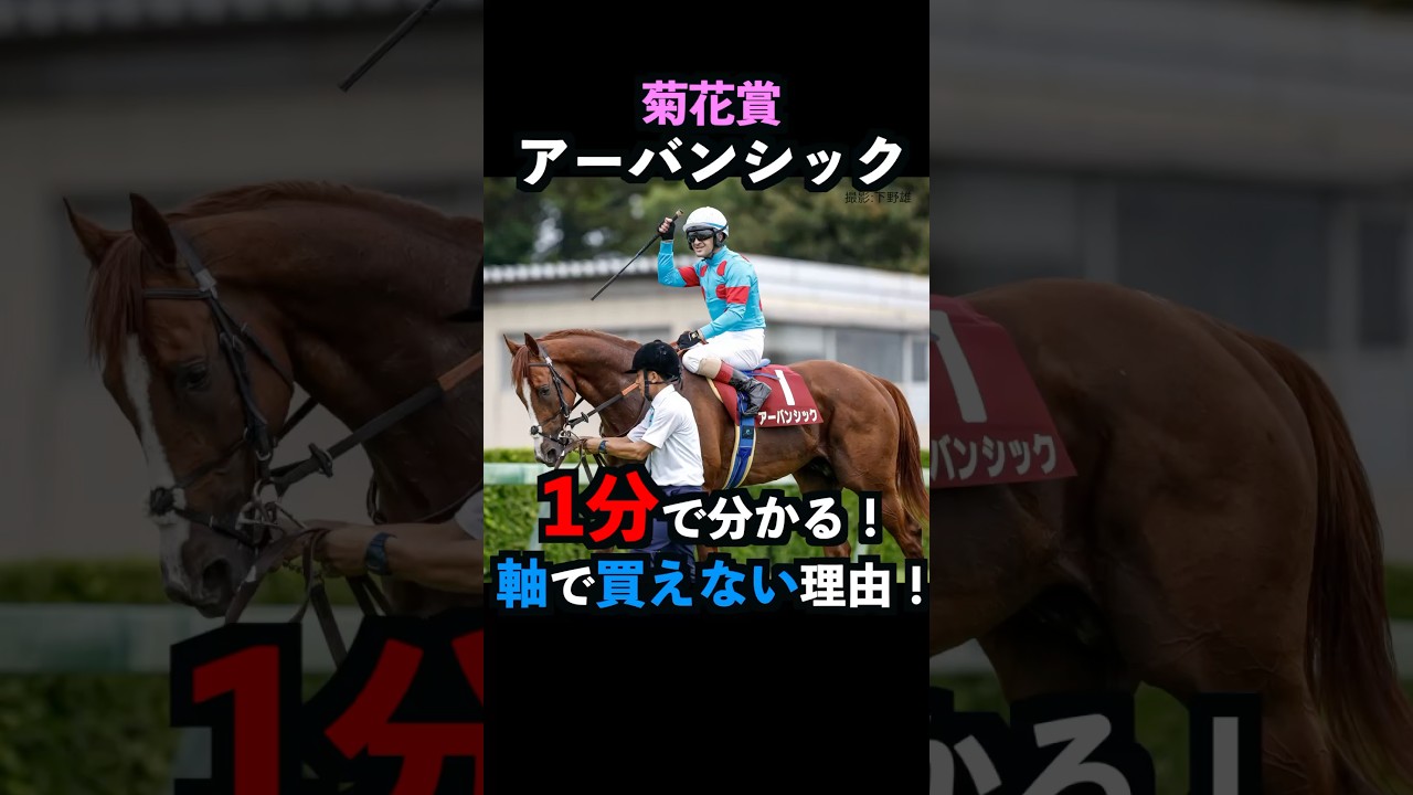 【菊花賞2024】1分で分かるアーバンシックがルメール騎手でも危険な理由！#アーバンシック  #菊花賞  #競馬予想  #shorts