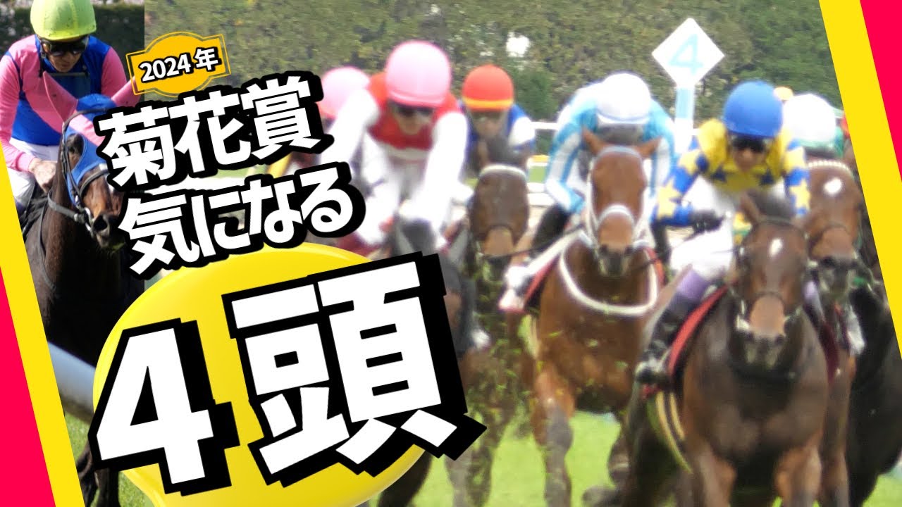 【菊花賞 2024】気になる4頭！今週もルメール？現時点で7番人気以下予想の気になる1頭！
