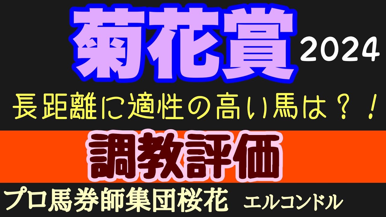 エルコンドル氏の菊花賞2024調教評価！！全頭が初の距離に挑むスピードだけでなくスタミナも問われる！距離適性の高い馬を見抜くことが大事か！？