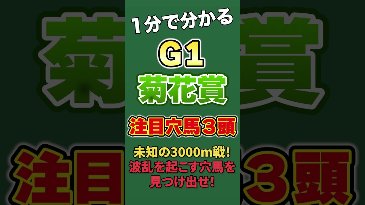 【菊花賞２０２４・予想】注目穴馬３頭を紹介！全馬未知の3000m戦！波乱を起こす穴馬を見つけ出せ！#shorts #穴馬 #競馬 #菊花賞2024#youtube