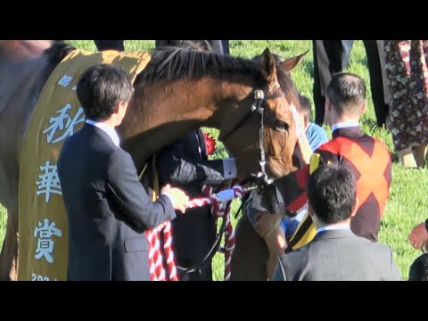 【秋華賞2024】 2冠達成‼チェルヴィニア 口取り～表彰式～C.ルメール騎手・勝利インタビュー 現地映像