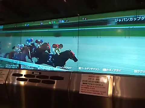 11ウイングアロウ ジャパンカップD