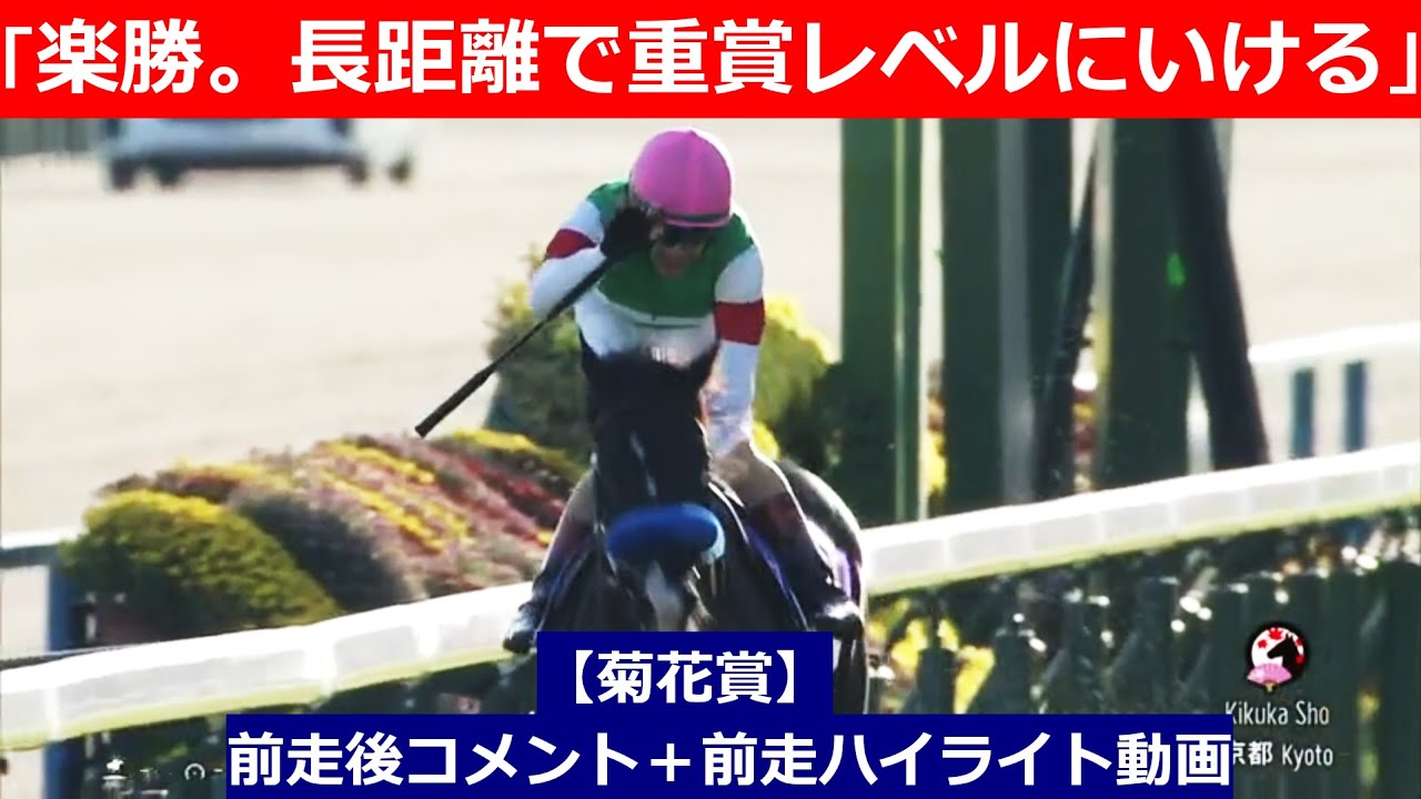 推奨馬⑤頭！【菊花賞　2024】前走後騎手コメント＋過去レースハイライト