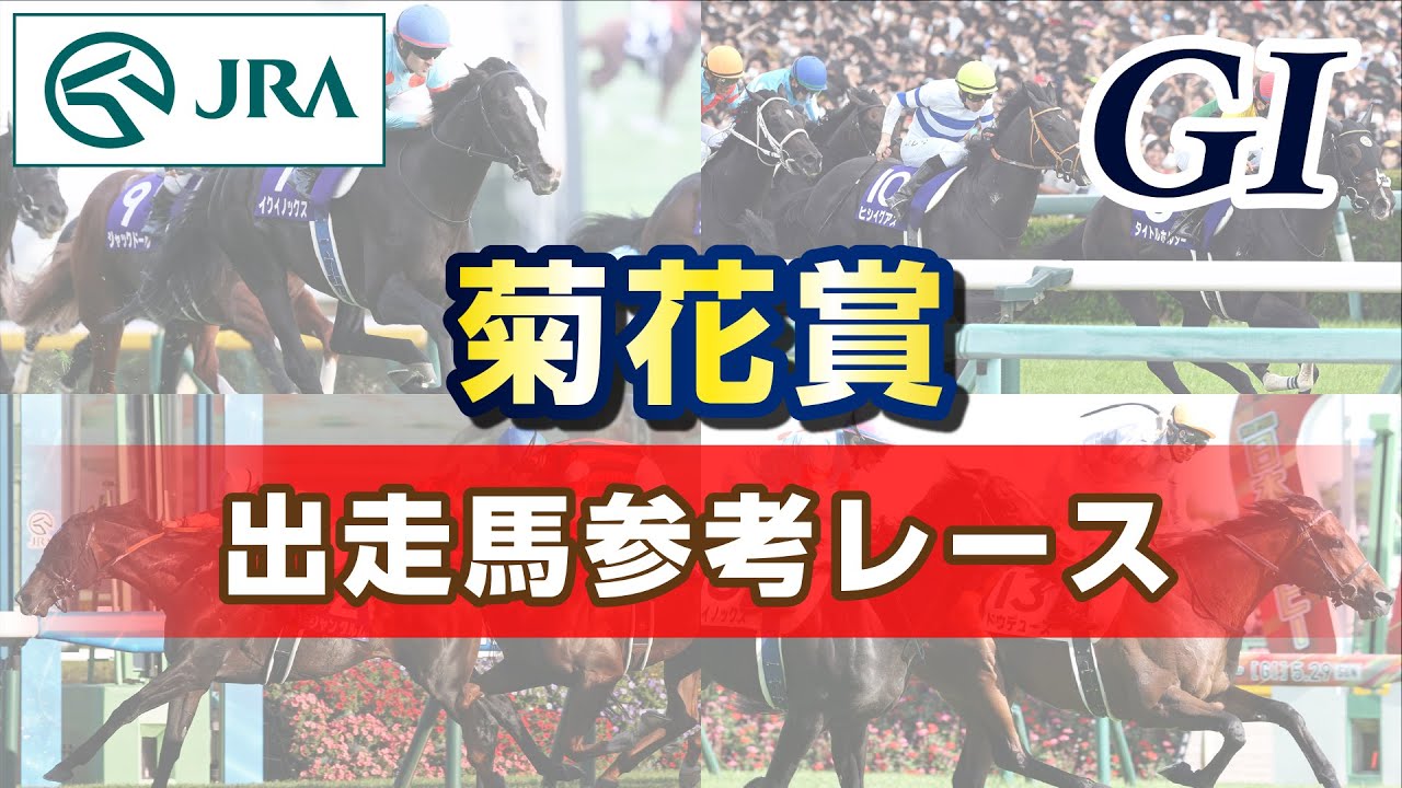【参考レース】2024年 菊花賞｜JRA公式