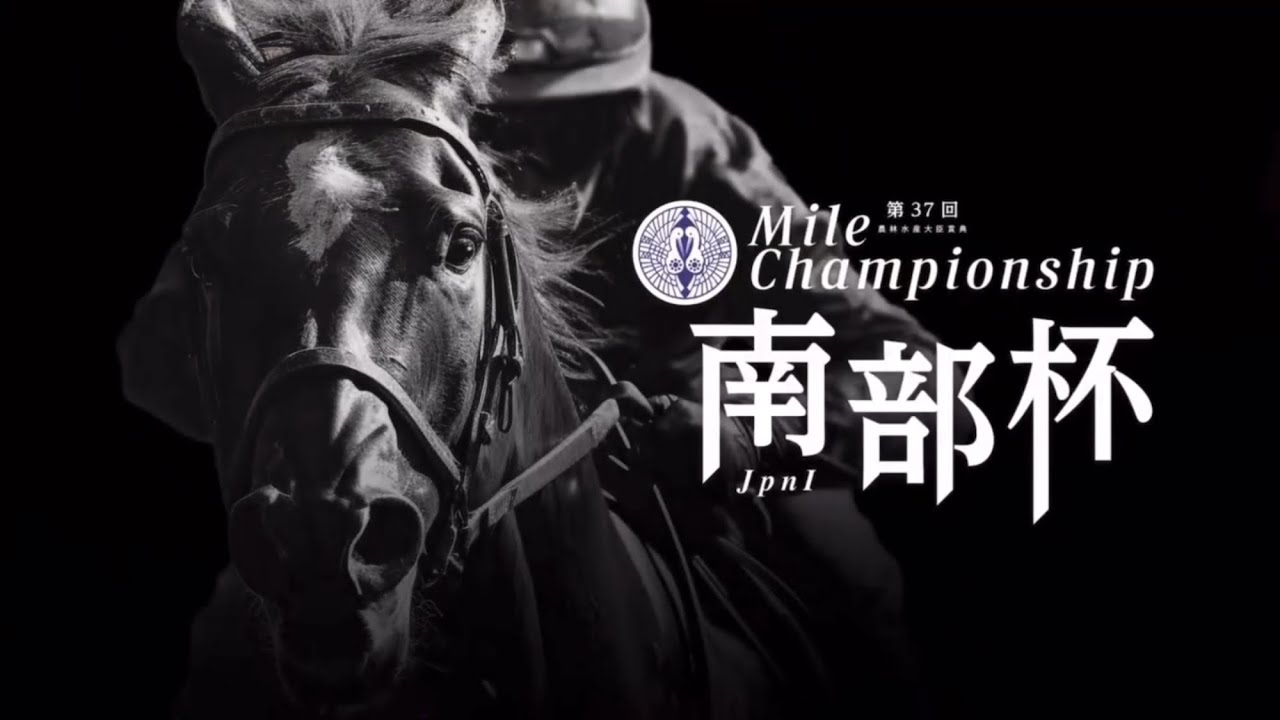 【第37回 マイルチャンピオンシップ南部杯 (JpnⅠ)】2024 10/14 盛岡競馬場