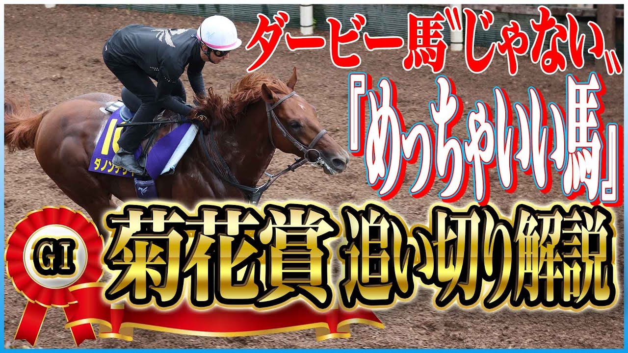 【菊花賞2024】菊花賞出走馬の追い切りを東西記者が徹底解説！