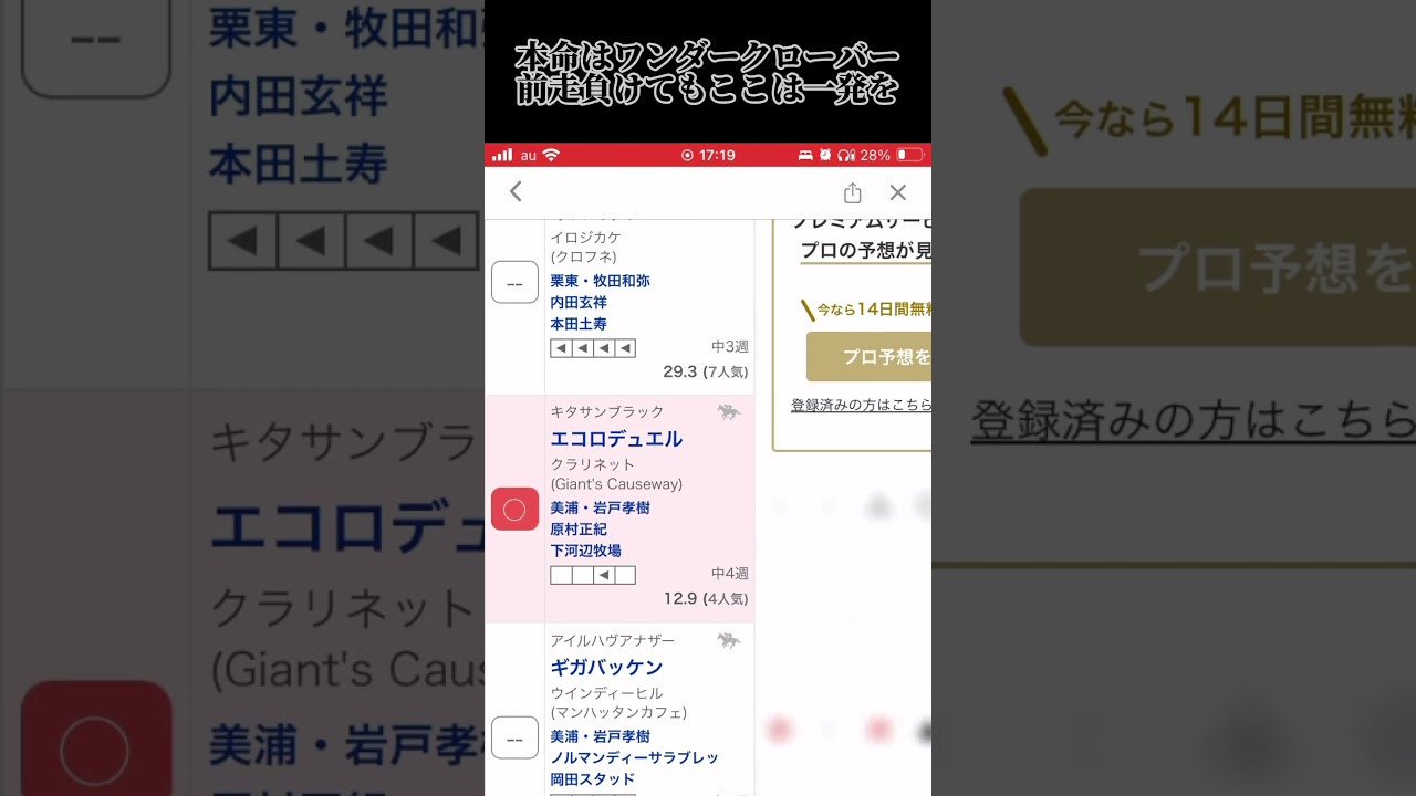 中山グランドジャンプの予想です。全馬全騎手無事で… #競馬 #競馬予想 #中山グランドジャンプ