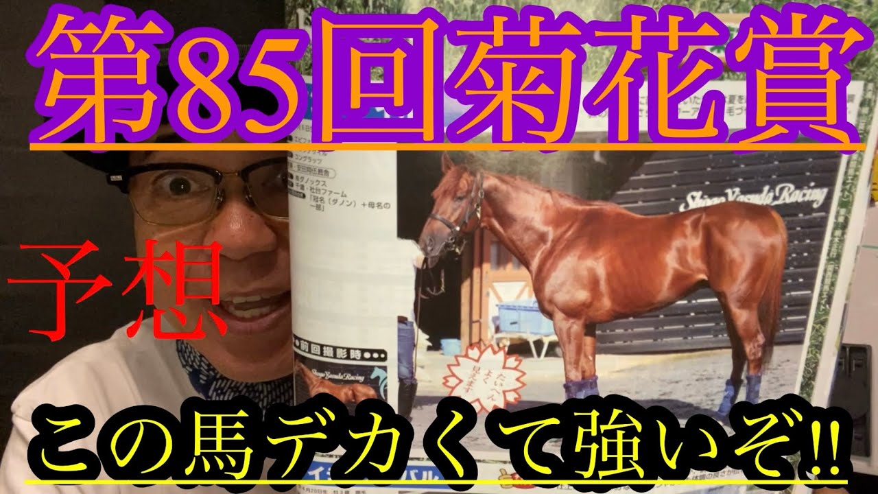 【Friday KEIBA予想】🇯🇵ダービー馬は菊花賞馬に！穴馬は筋の肉雄‼︎全馬3000m走り切れ〜無事に‼︎