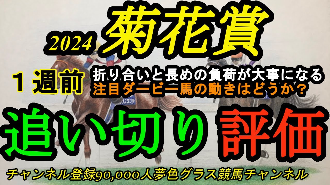 【1週前追い切り評価】2024菊花賞！大事なのは折り合いと長めの負荷！ダービー馬ダノンデサイルの動きは？
