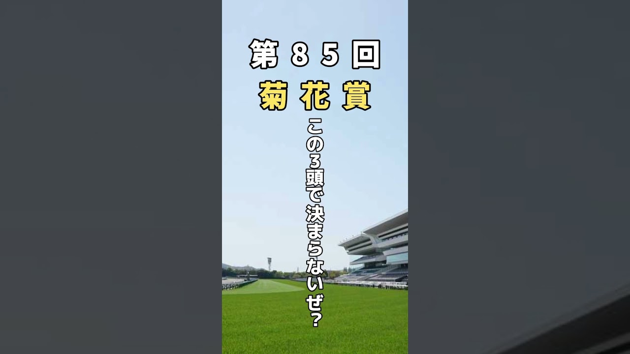 【菊花賞2024】京都芝3000mという非根幹距離の特殊なコースだからこそ血統が更に輝きを増す‼︎ #菊花賞 #競馬予想 #g1 #ダノンデサイル #アーバンシック #メイショウタバル