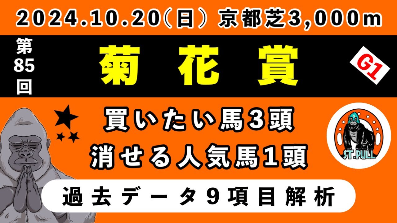 【菊花賞2024】過去データ9項目解析!!買いたい馬3頭と消せる人気馬1頭について(競馬予想)
