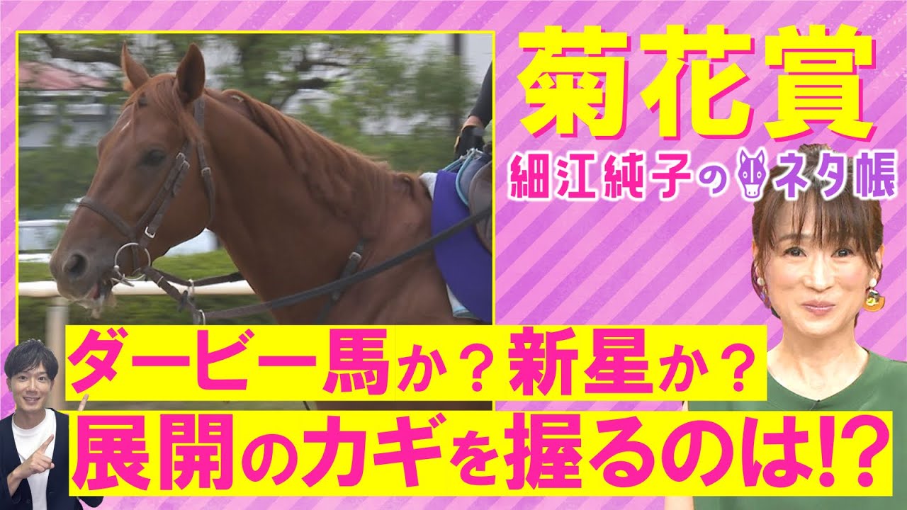 「メンタルがただ者ではない」ダノンデサイル、アーバンシック、コスモキュランダ・・・菊花賞(ＧⅠ)を元ジョッキーの細江純子さんが徹底解説！＜細江純子のネタ帳＞