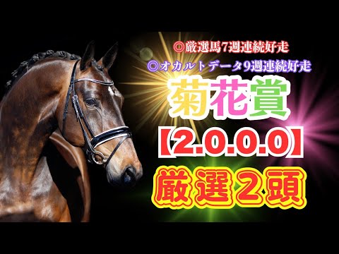 【菊花賞2024】【2.0.0.0】◆厳選２頭◆◆厳選馬７週連続好走◆◆オカルトデータ９週連続好走◆過去５年のデータから狙える馬はこの２頭！！