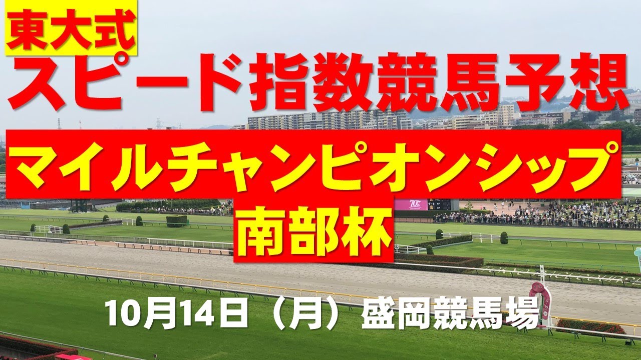 【マイルチャンピオンシップ南部杯２０２４】東大式スピード指数による競馬予想