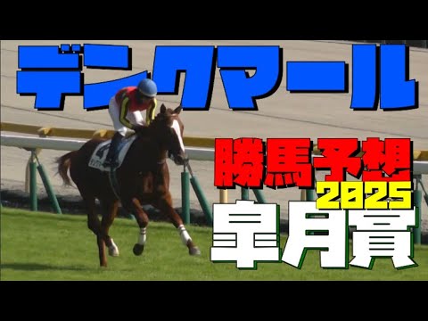 【競馬】2025年皐月賞馬 有力候補『推し馬🐴』一頭目