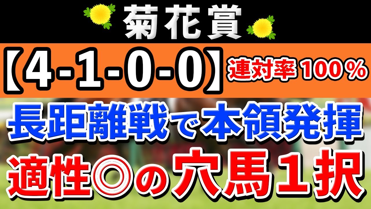 菊花賞 2024【激推し注目馬⇒連対率100％(4-1-0-0)】アーバンシック＆ダノンデサイルではない！距離延長で真価を発揮する！適性◎の上がり馬1択！
