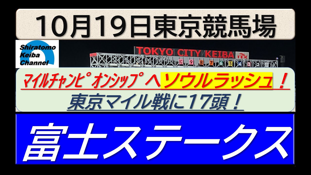 【競馬予想】GⅡ富士ステークス！～２０２４年１０月１９日 東京競馬場 ：１０－４３