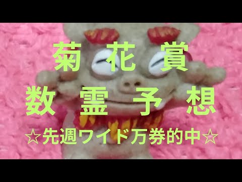 【菊花賞】数霊予想！富士ステークス&新潟牝馬Ｓ未来予想！