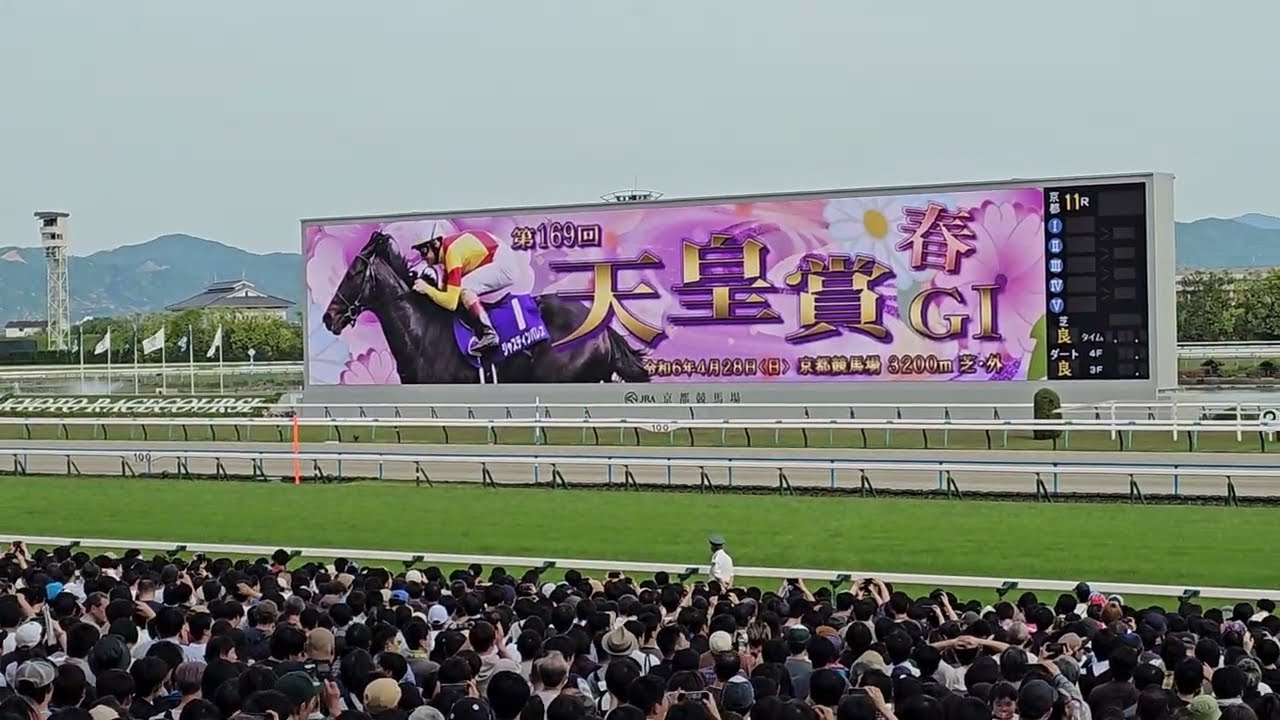 【第169回 天皇賞(春) 2024 現地映像】 テーオーロイヤルの横綱相撲