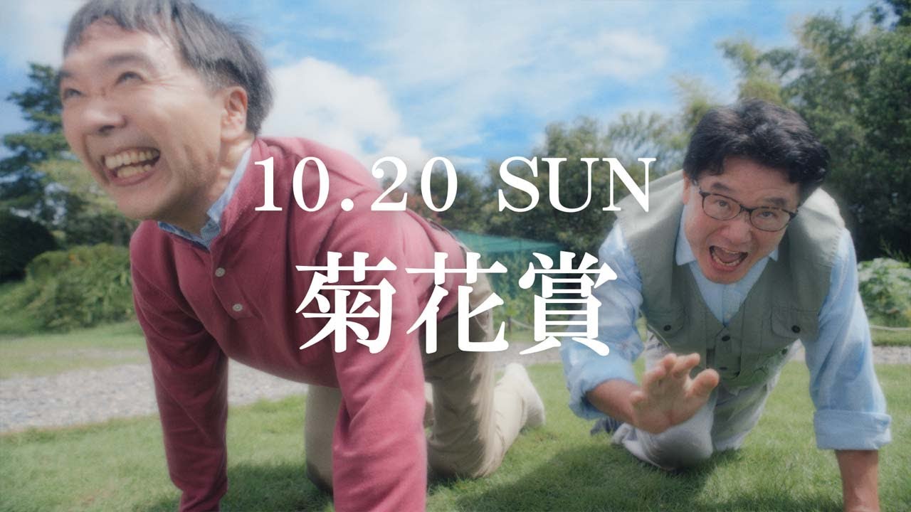 「ウマのそら。」―菊花賞編― | JRA FUN
