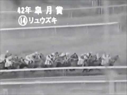 1967年皐月賞　リュウズキ