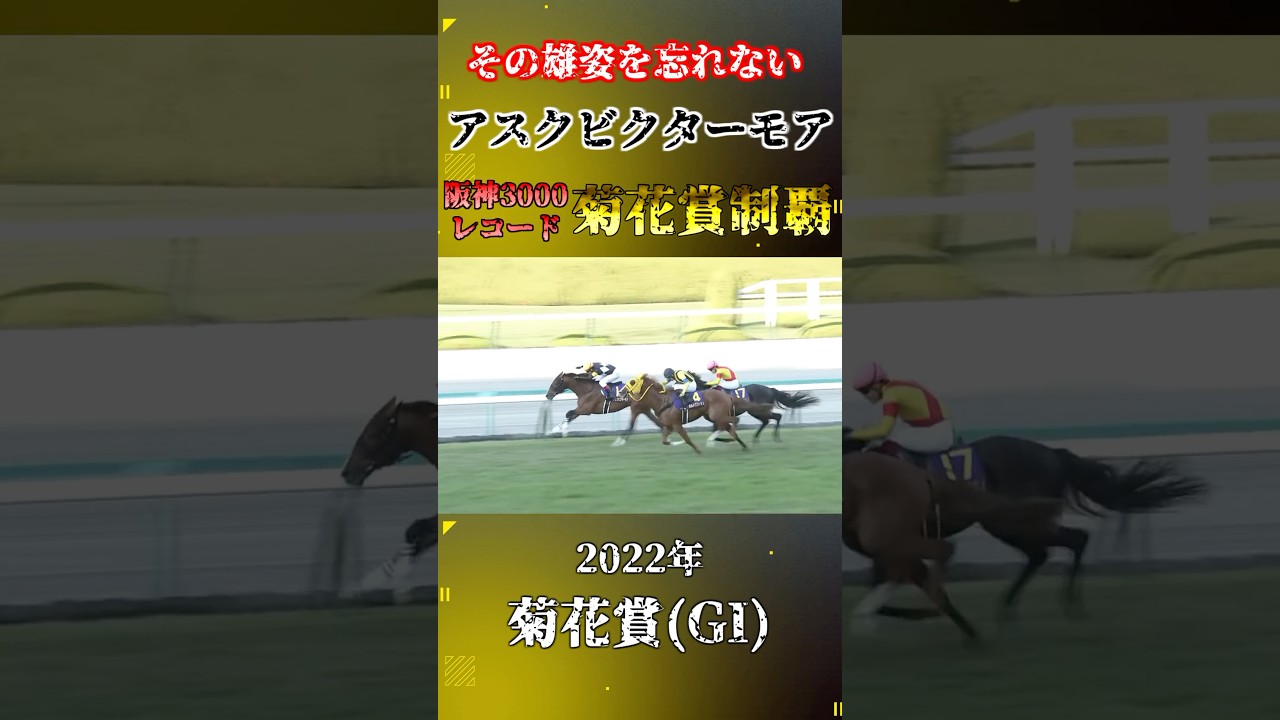 アスクビクターモア【2022年菊花賞(GI)】#競馬 #shorts #菊花賞 #アスクビクターモア