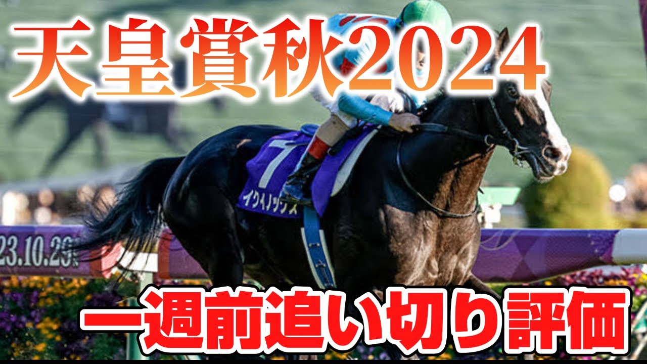 天皇賞秋2024 一週前追い切り評価