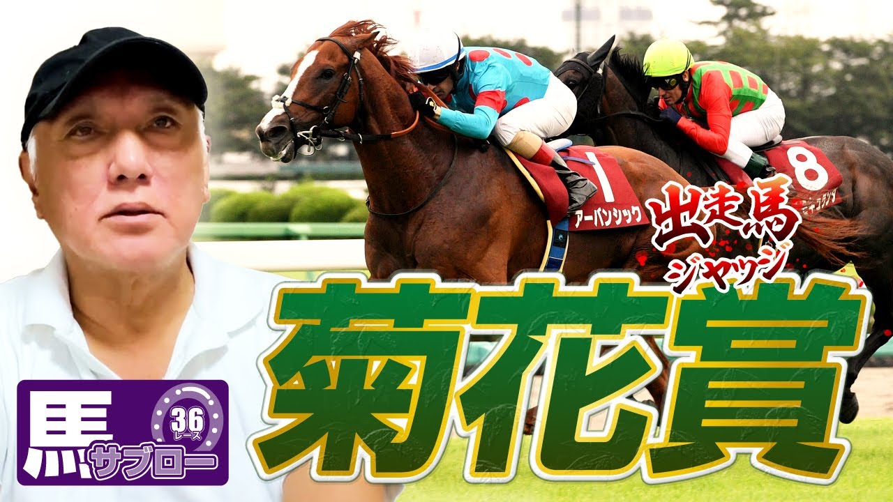 【菊花賞】出走馬ジャッジ