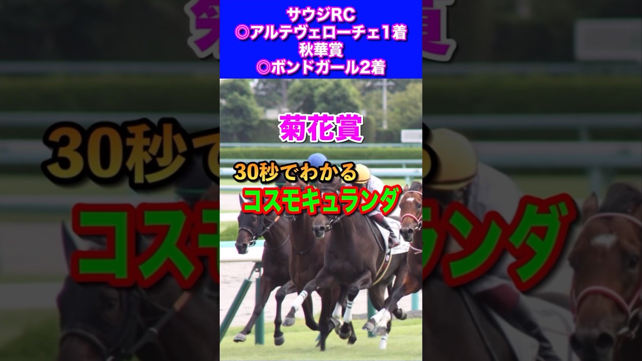 【菊花賞2024】30秒でわかるコスモキュランダ