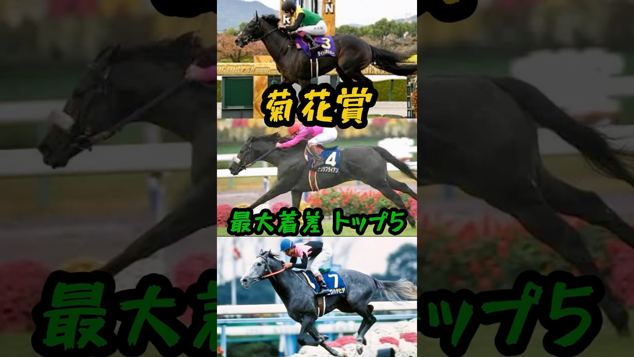 菊花賞 最大着差トップ5