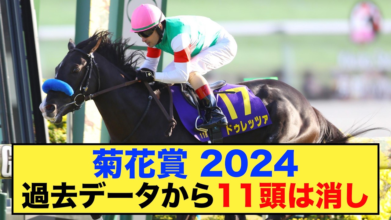 【菊花賞2024】過去のデータから消すべき馬がわかった！！【競馬】【データ】#競馬 #競馬予想 #菊花賞2024 #菊花賞
