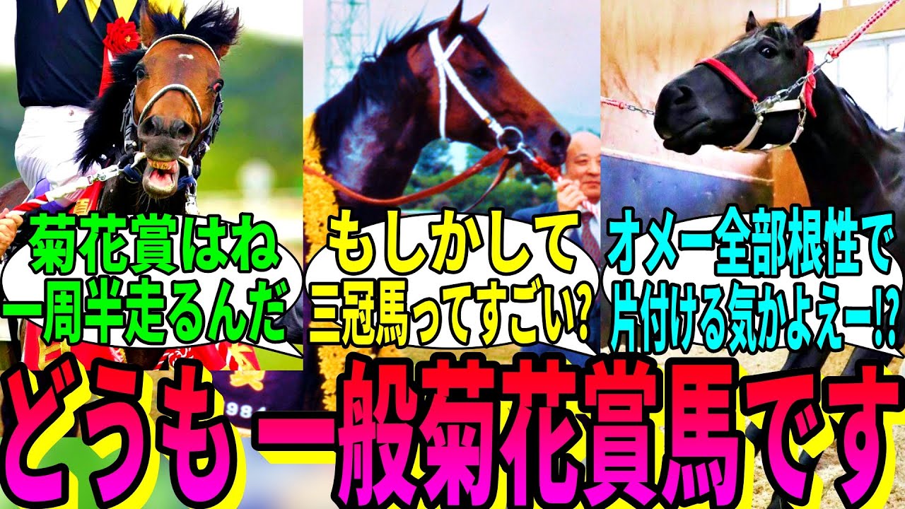 【競馬の反応集】「菊花賞なので、一般菊花賞馬さんたちからアドバイス」に対する視聴者の反応集