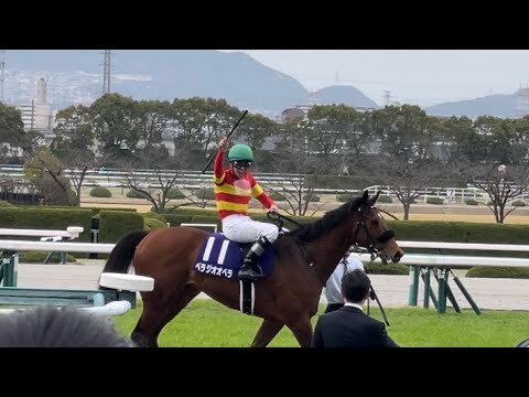 【現地映像】 第68回 大阪杯 (2024/03/31) べラジオオペラ ＆ 横山和生