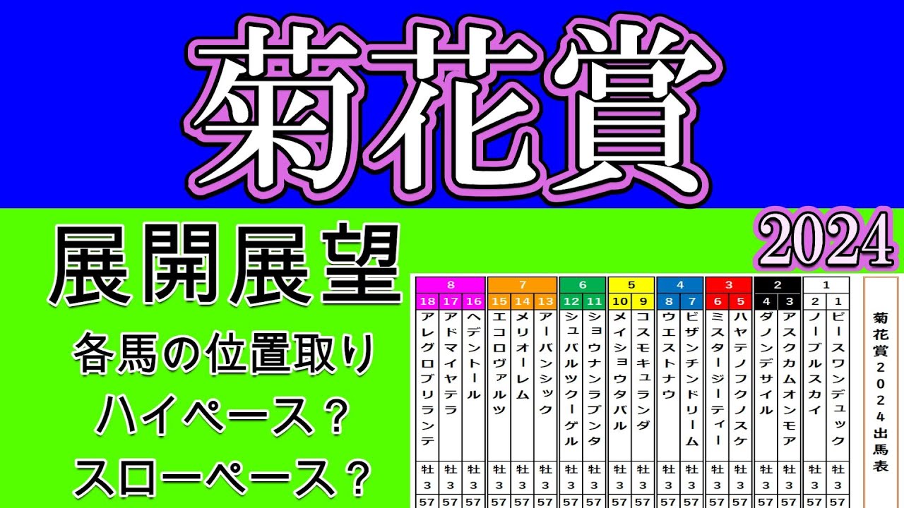 菊花賞2024展開展望！鍵を握るメイショウタバルやアーバンシックやダノンデサイルの位置取りは？ハイかスローか？明日の馬場状態を考察しつつ各馬の向こう正面や４コーナーでの位置取りを詳細に分析する！