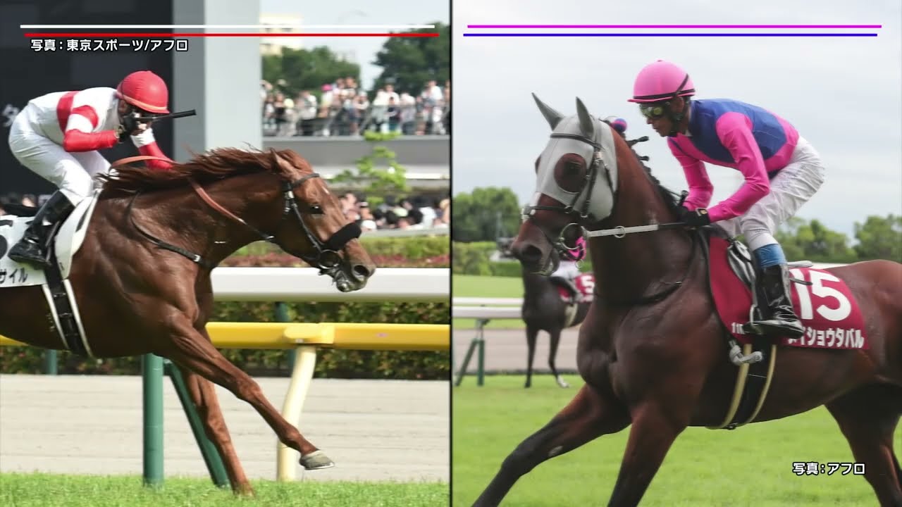 【菊花賞】ダービー馬・ダノンデサイル 父仔制覇へ！クラシック最後の栄冠を手にするのは！？