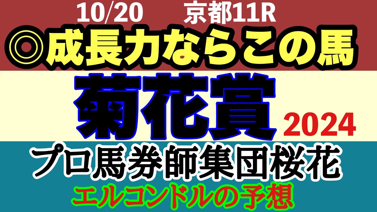 エルコンドル氏の菊花賞2024予想！！いよいよクラシック最終戦！人気馬に不安要素あり？！その中で成長力感じるならこの馬だ！