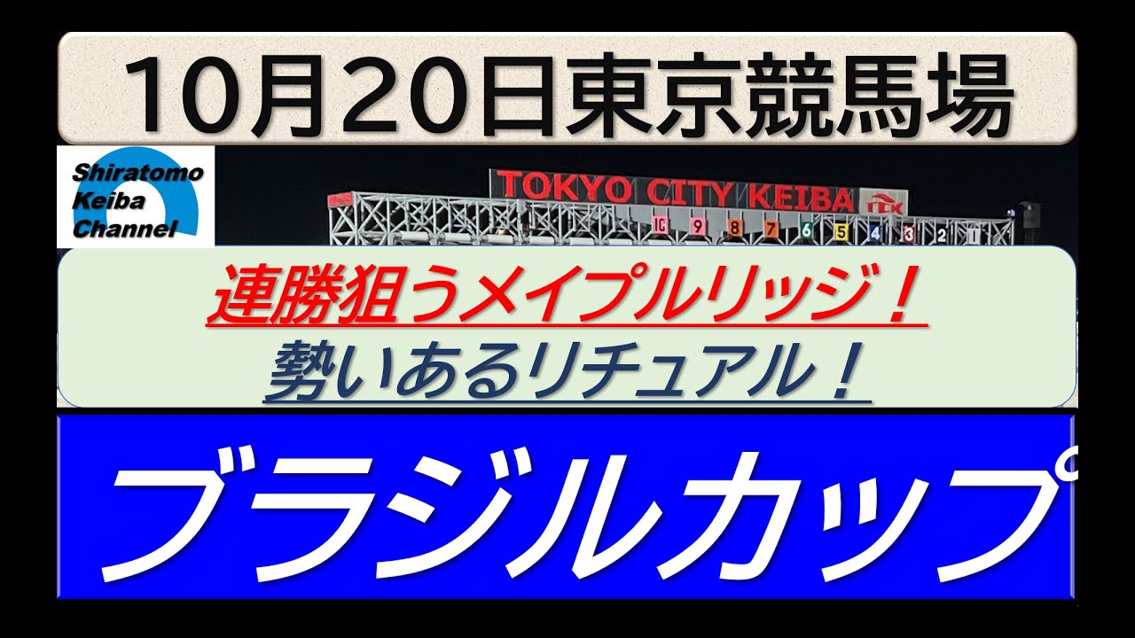 【競馬予想】ブラジルカップ！～２０２４年１０月２０日 東京競馬場 ：１０－４７