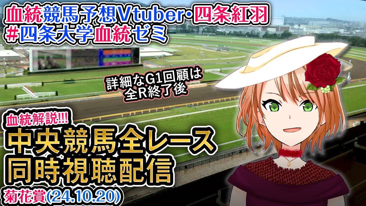 【競馬同時視聴配信】菊花賞 2024 ほか全R対象 四条大学血統ゼミ