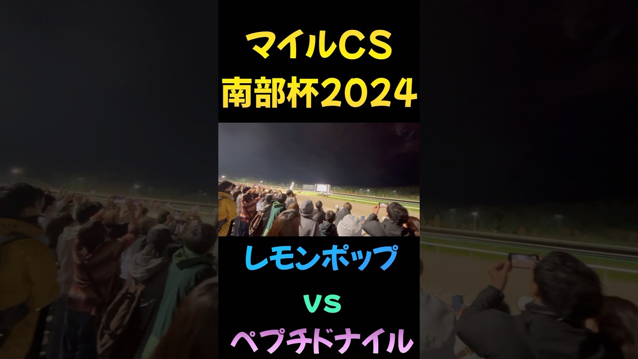 マイルチャンピオンシップ【南部杯】2024 レモンポップvsペプチドナイル