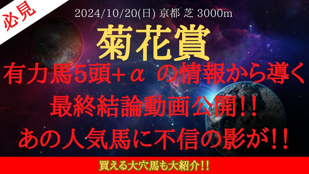 【 最終結論 】菊花賞 2024 予想 有力馬5頭+α の情報から導く最終結論動画公開！！あの人気馬に不信の影が！！【中央競馬予想】