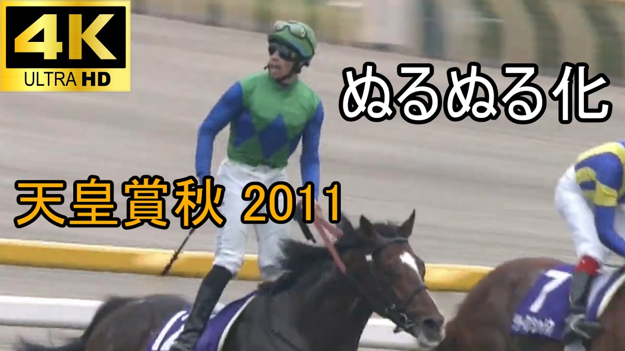 トーセンジョーダン 天皇賞秋 ぬるぬる化で見よう 2011 conv to 60fps