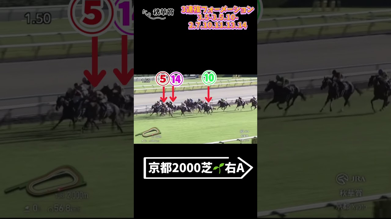 2024秋華賞結果🍁3連複的中ｷﾀ━(ﾟ∀ﾟ)━!次は菊花賞予想🐴がんばろう🔥#競馬予想 #競馬女子 #秋華賞 #3連複 #菊花賞
