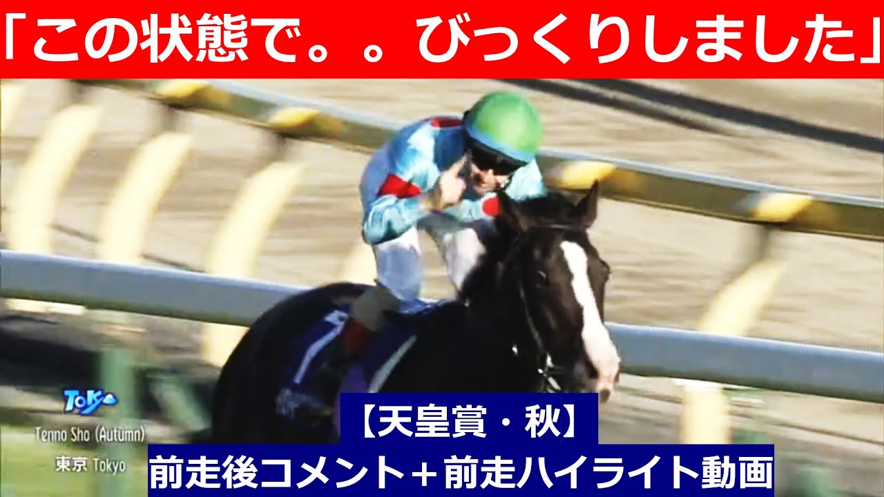 推奨馬⑤頭！【天皇賞秋　2024】前走後騎手コメント＋過去レースハイライト